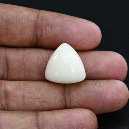 Japani White Coral 29.21 Carat