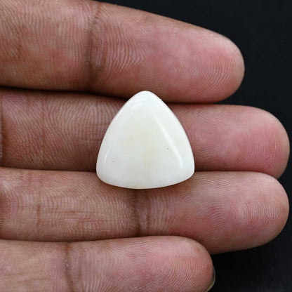 Japani White Coral 29.21 Carat