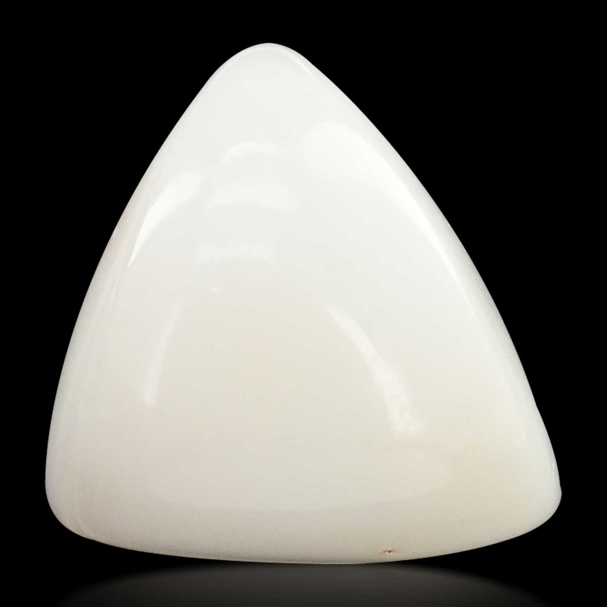 Japani White Coral 12.83 Carat