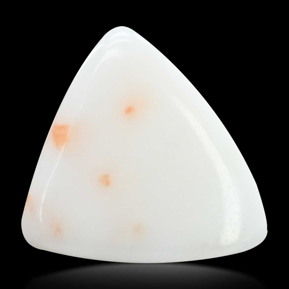 Japani White Coral 12.83 Carat