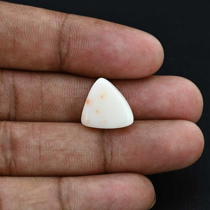 Japani White Coral 12.83 Carat