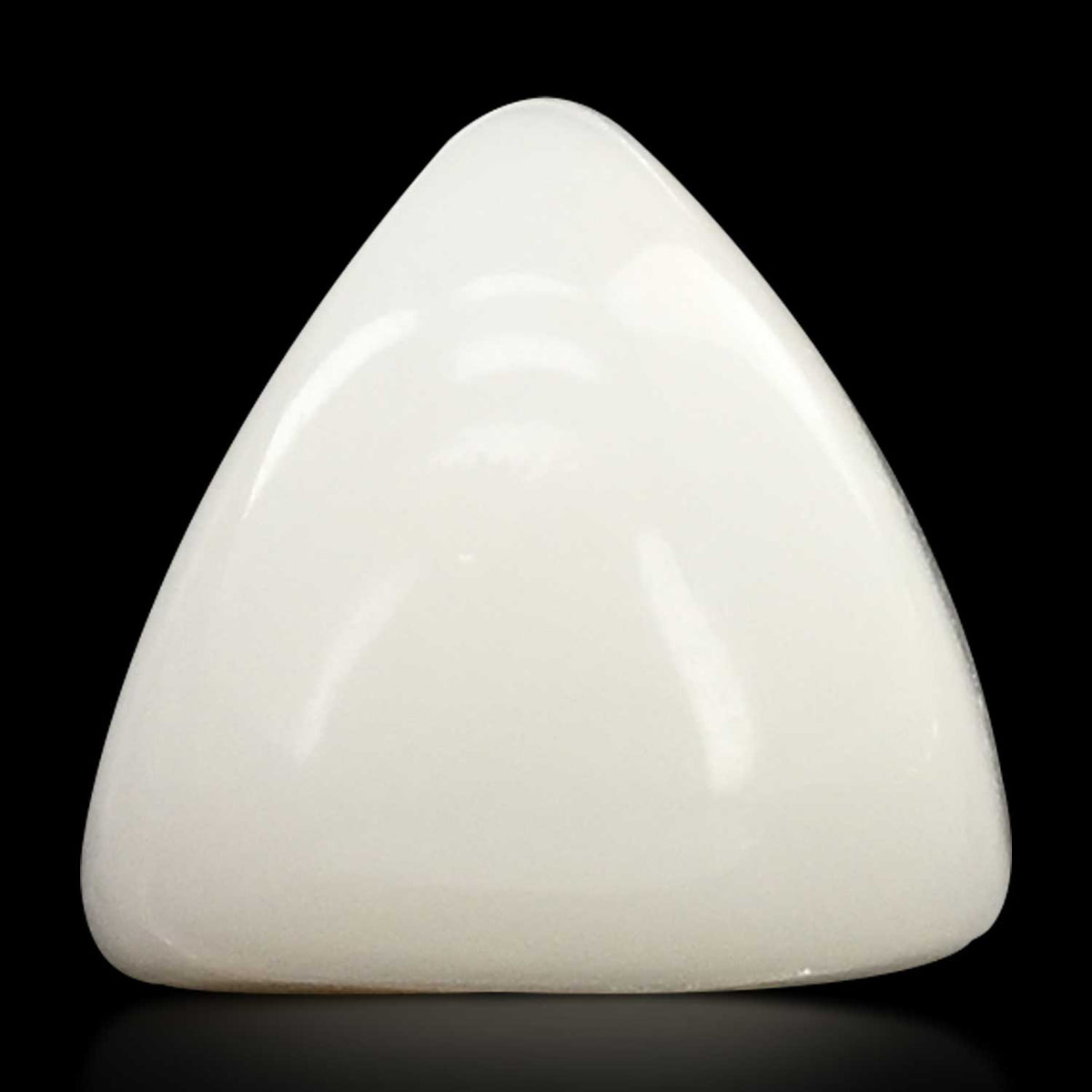 Japani White Coral 5.87 Carat