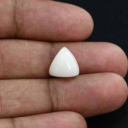 Japani White Coral 5.87 Carat