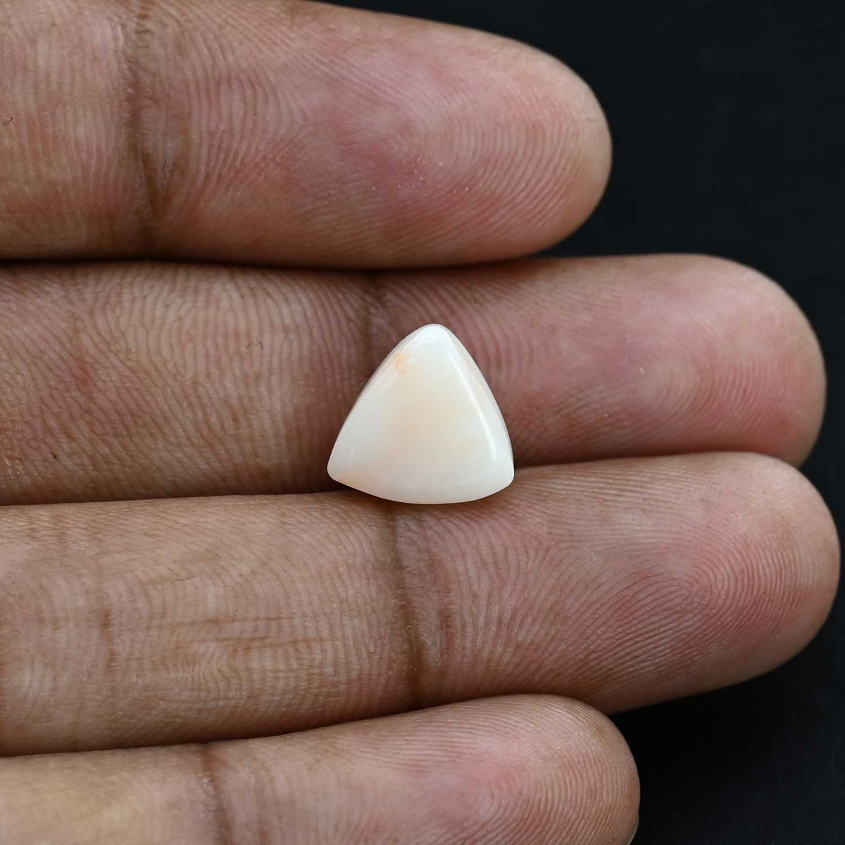 Japani White Coral 5.87 Carat