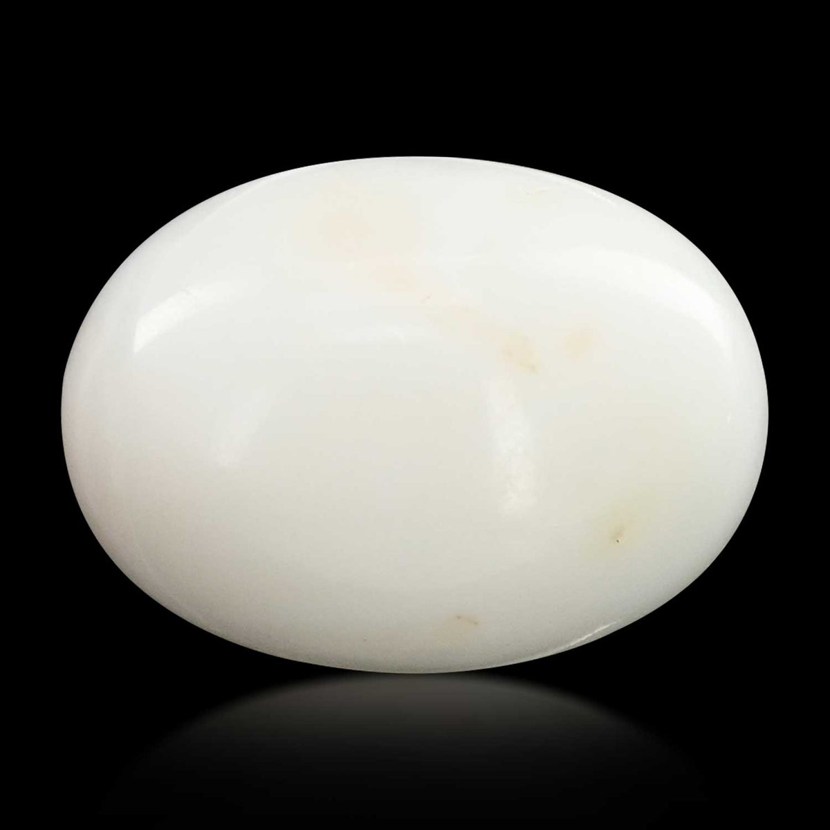Japani White Coral 24.97 Carat