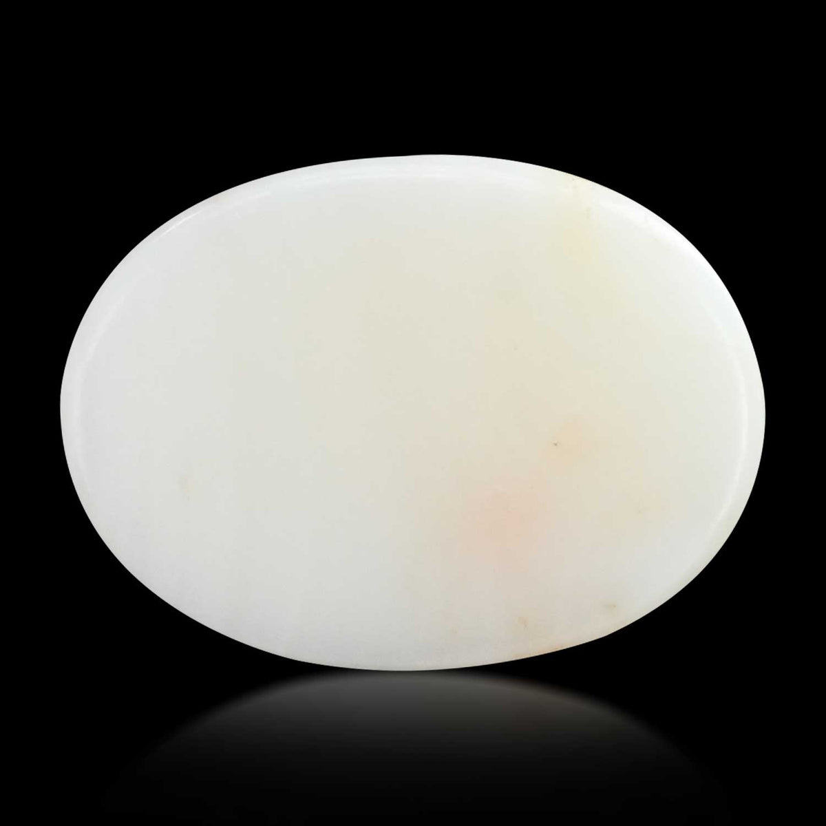 Japani White Coral 24.97 Carat