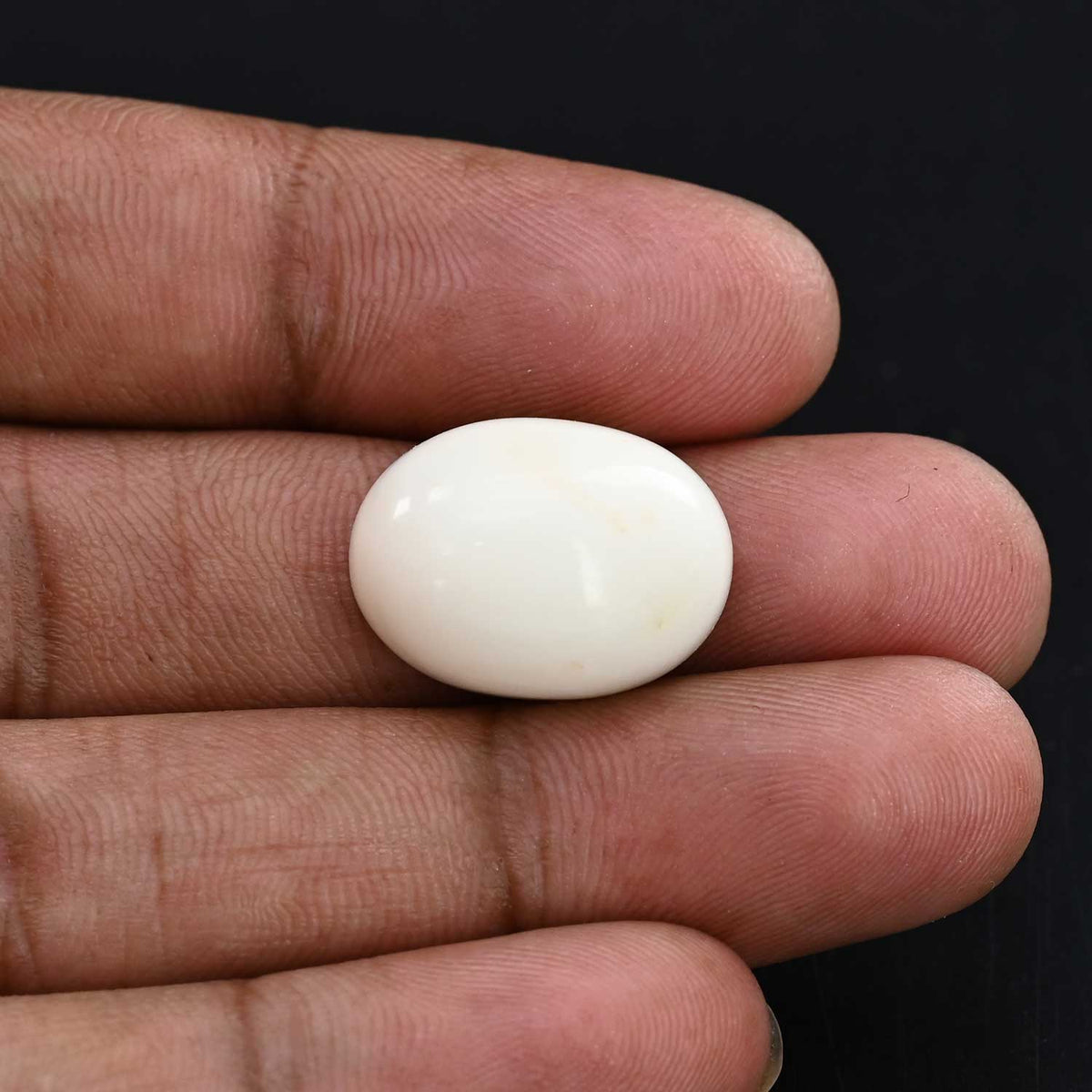 Japani White Coral 24.97 Carat