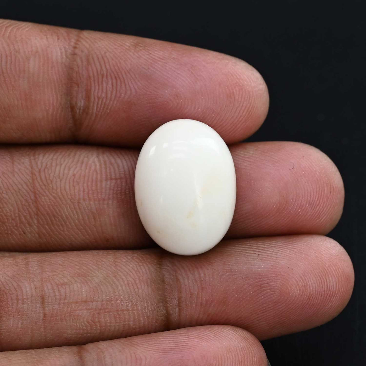 Japani White Coral 24.97 Carat