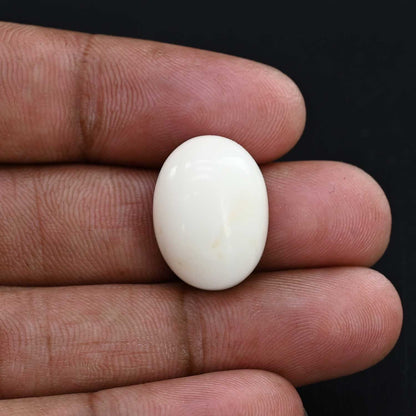 Japani White Coral 24.97 Carat
