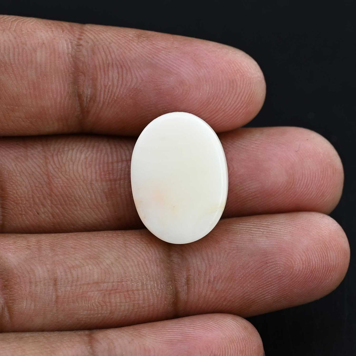 Japani White Coral 24.97 Carat
