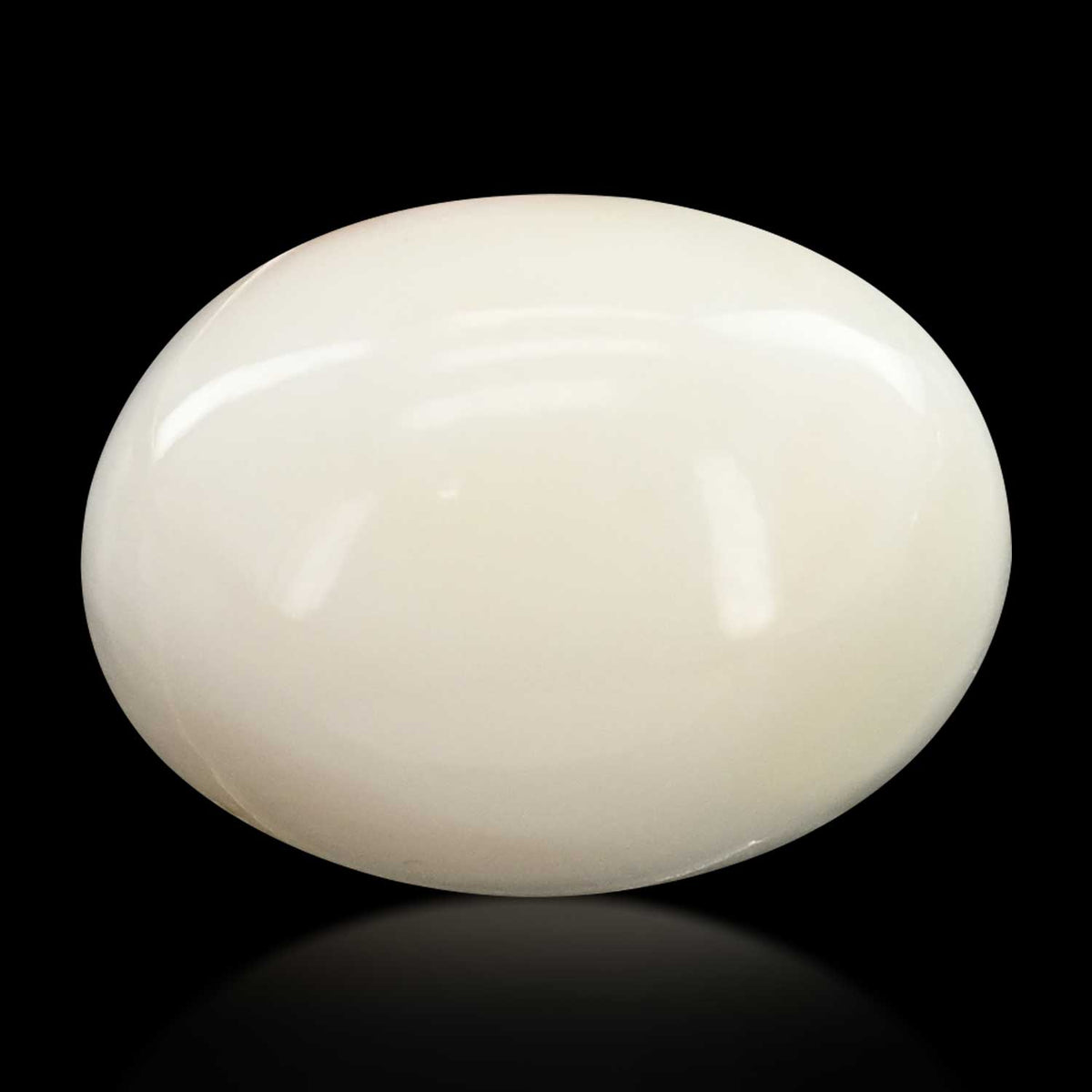 Japani White Coral 21.44 Carat