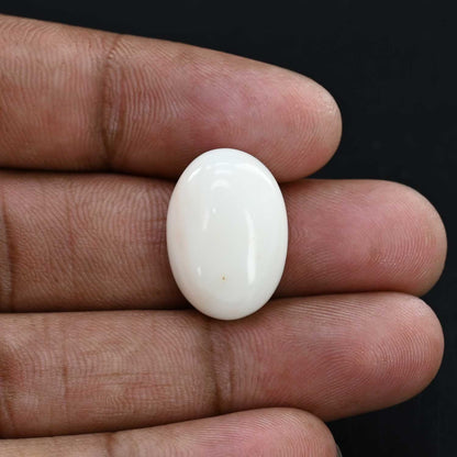 Japani White Coral 18.52 Carat