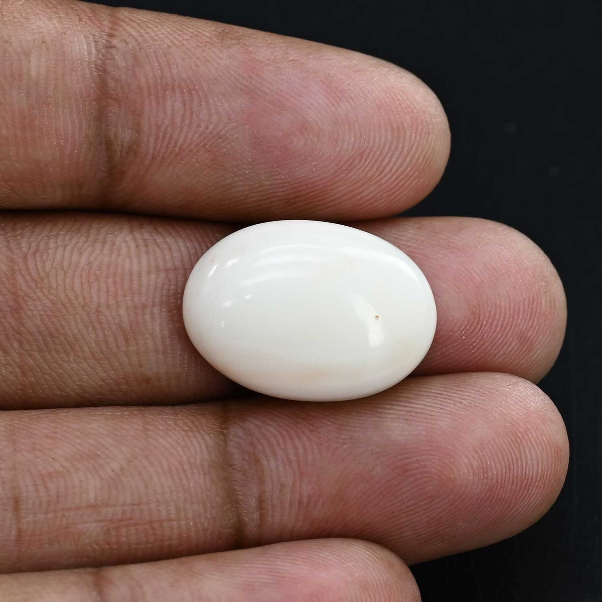 Japani White Coral 18.52 Carat