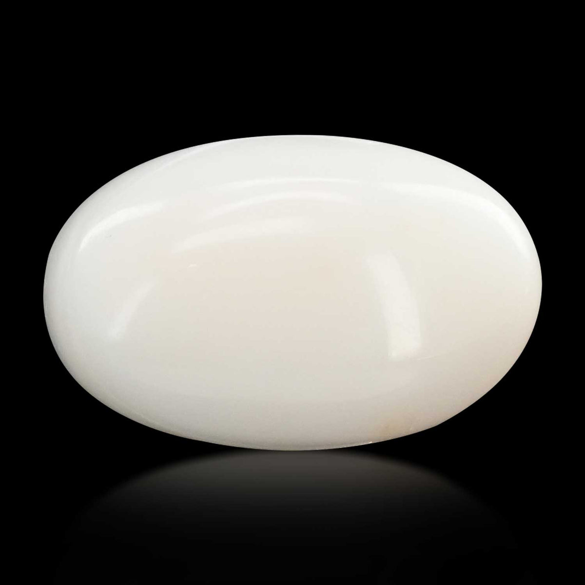 Japani White Coral 20.7 Carat
