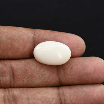 Japani White Coral 20.7 Carat