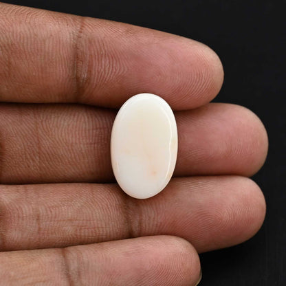 Japani White Coral 20.7 Carat