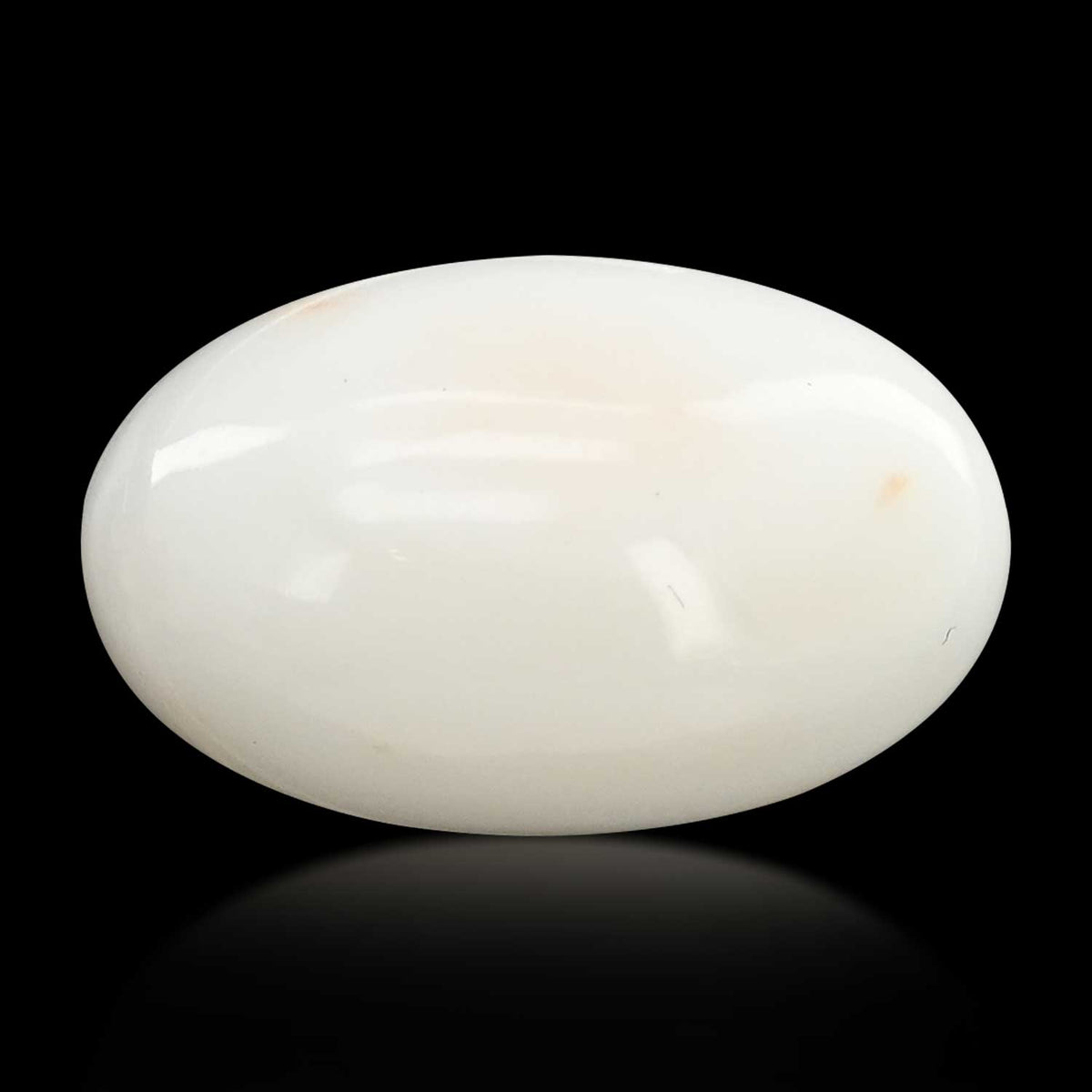 Japani White Coral 14.62 Carat