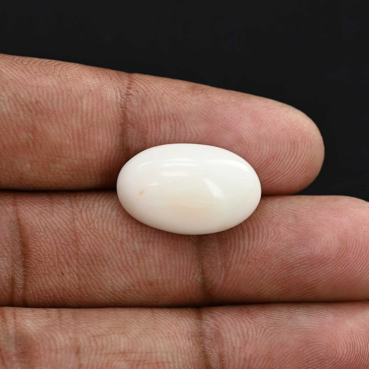 Japani White Coral 14.62 Carat