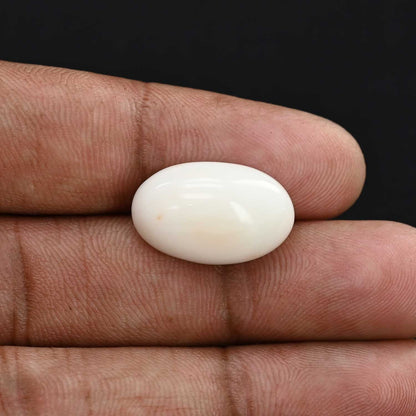 Japani White Coral 14.62 Carat