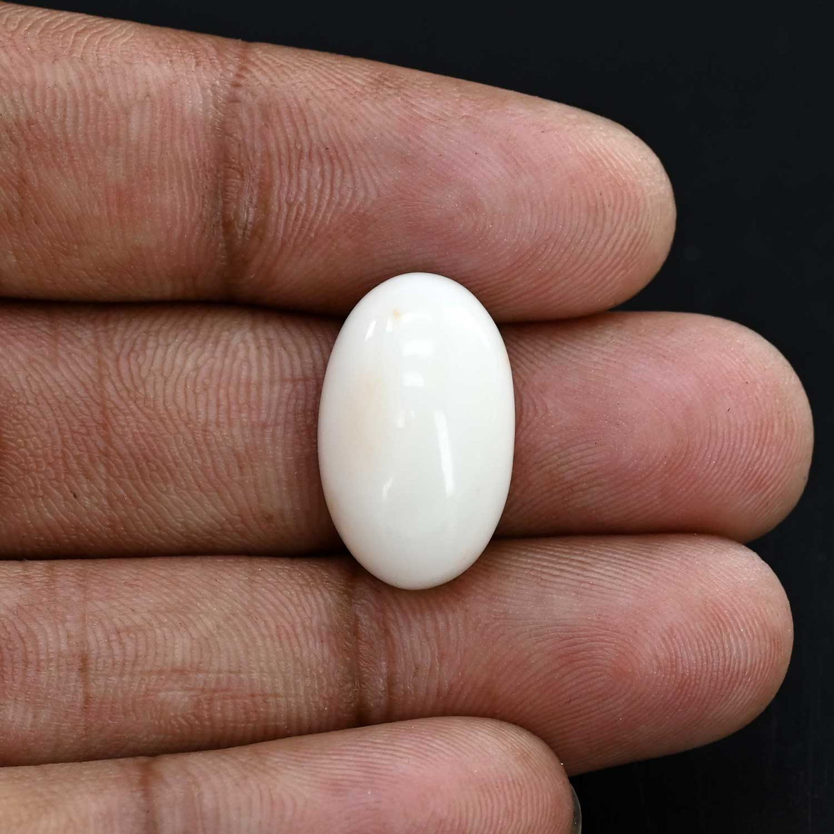 Japani White Coral 14.62 Carat
