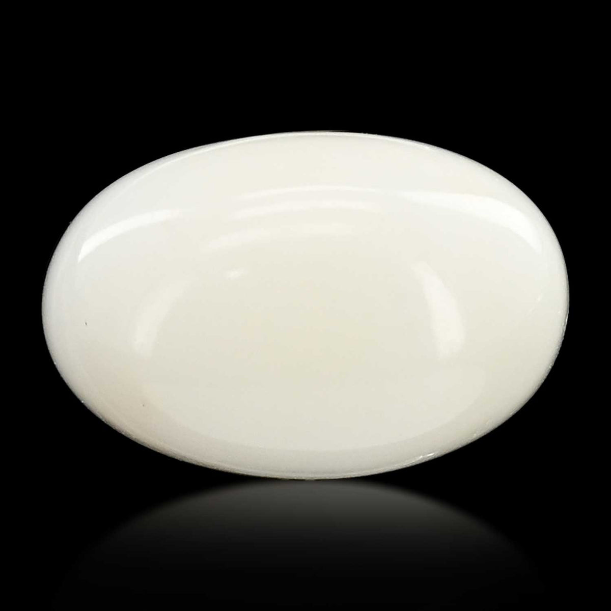 Japani White Coral 14.15 Carat