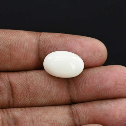 Japani White Coral 14.15 Carat