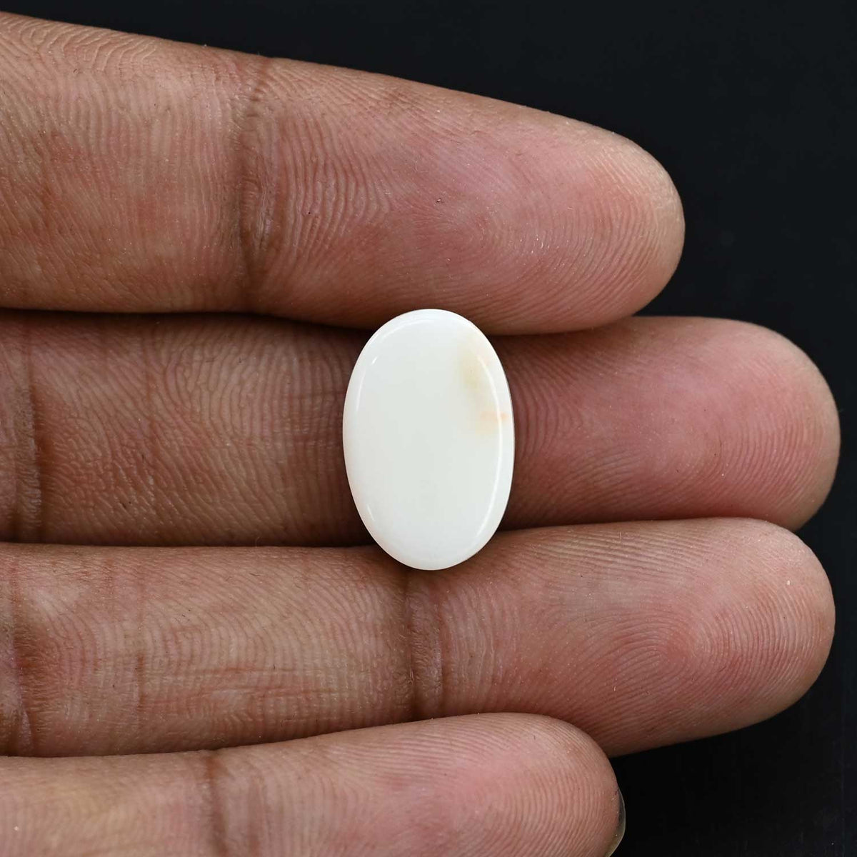 Japani White Coral 14.15 Carat
