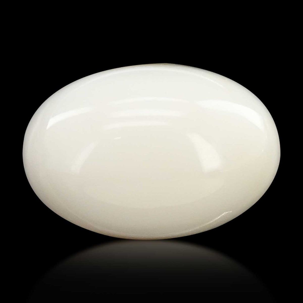 Japani White Coral 13.69 Carat