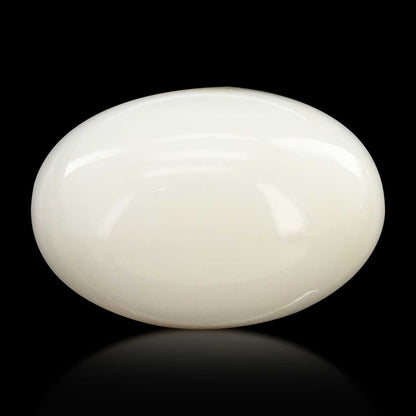 Japani White Coral 13.69 Carat