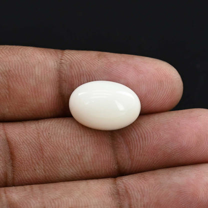 Japani White Coral 13.69 Carat