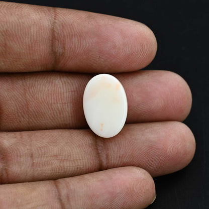 Japani White Coral 13.69 Carat