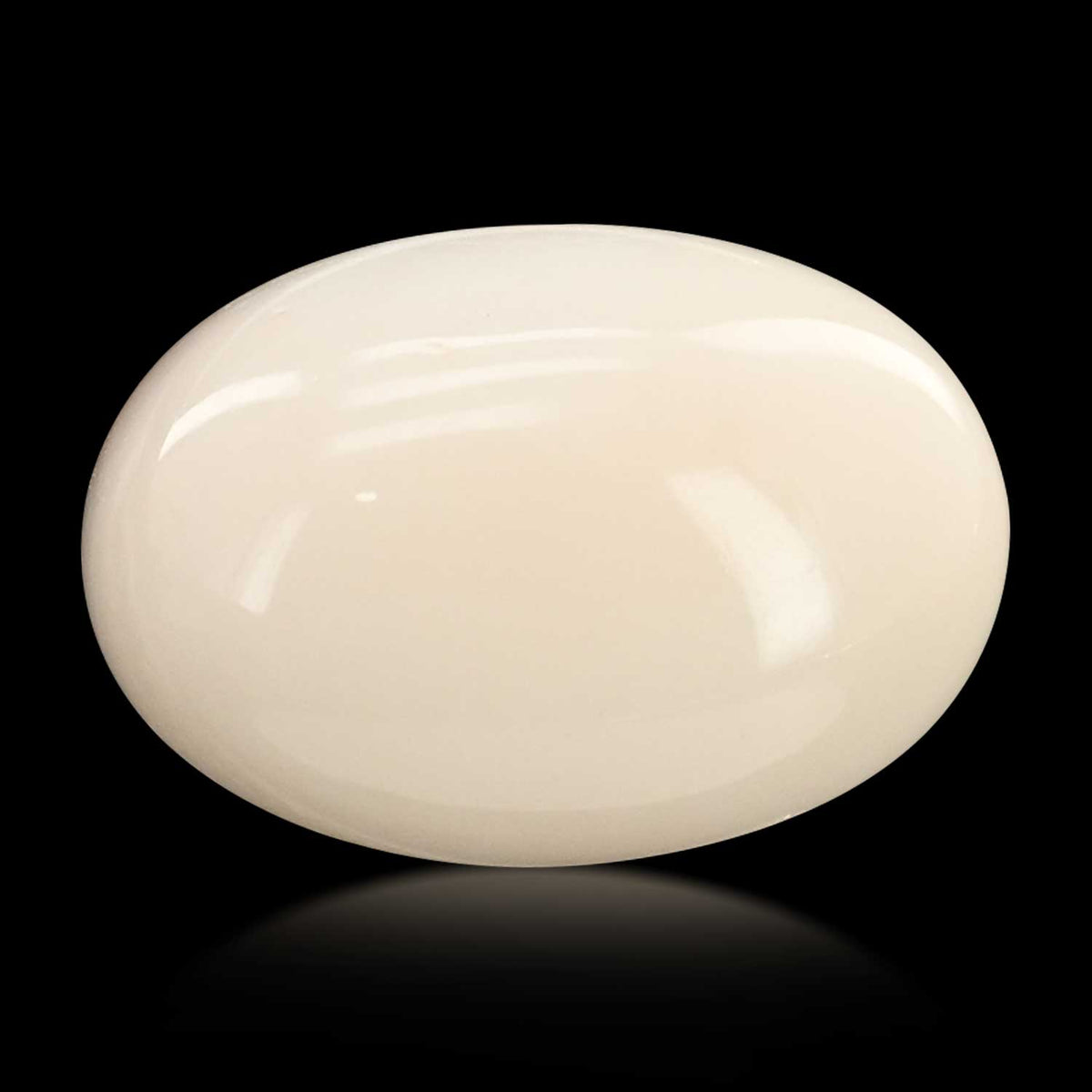 Japani White Coral 12.74 Carat