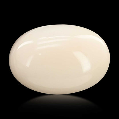 Japani White Coral 12.74 Carat