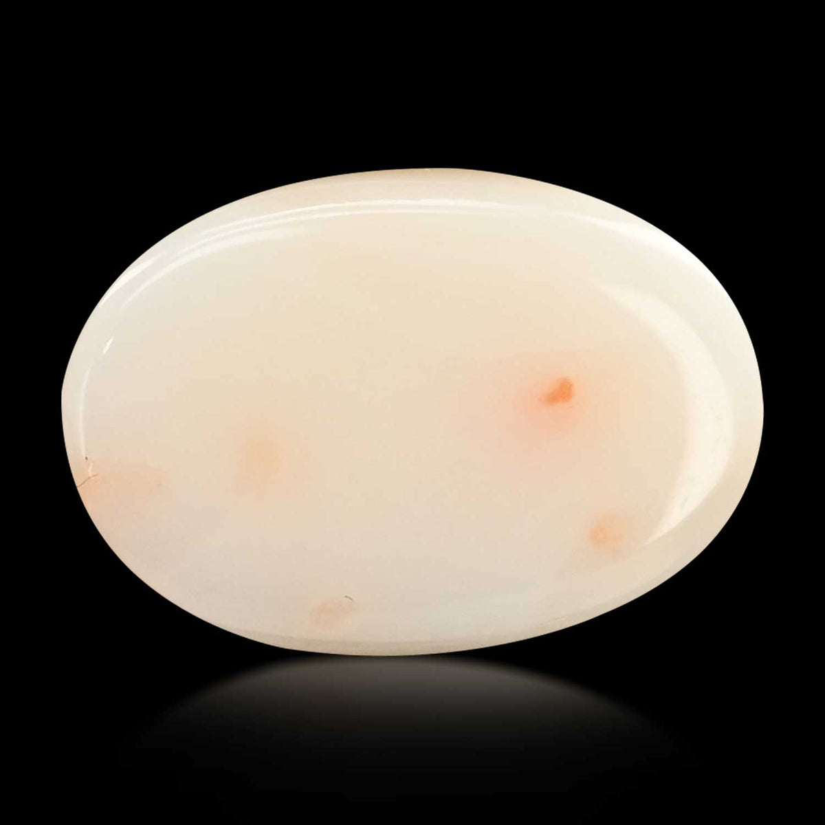 Japani White Coral 12.74 Carat