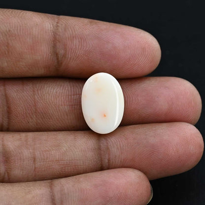 Japani White Coral 12.74 Carat