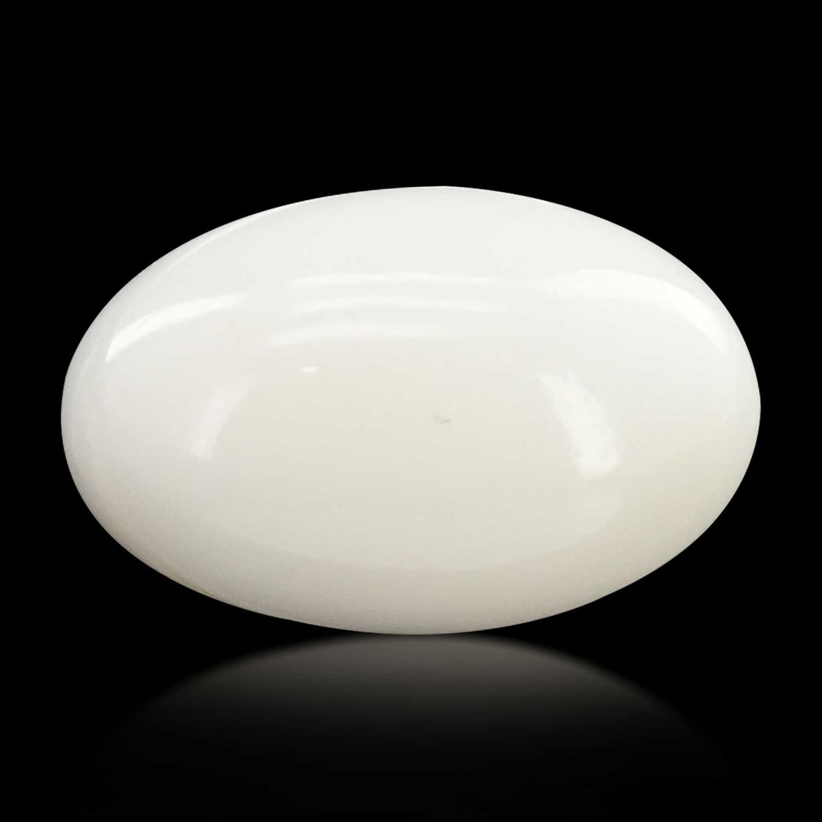 Japani White Coral 12.09 Carat