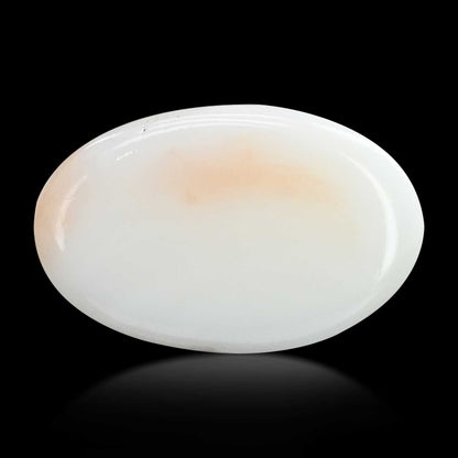 Japani White Coral 12.09 Carat