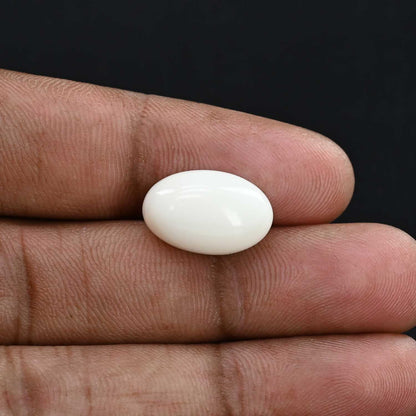 Japani White Coral 12.09 Carat
