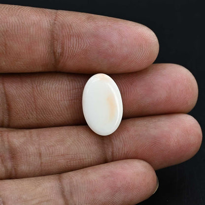 Japani White Coral 12.09 Carat