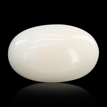 Japani White Coral 12.24 Carat