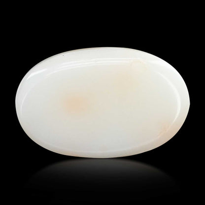 Japani White Coral 12.24 Carat