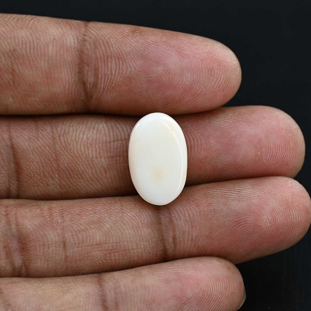 Japani White Coral 12.24 Carat
