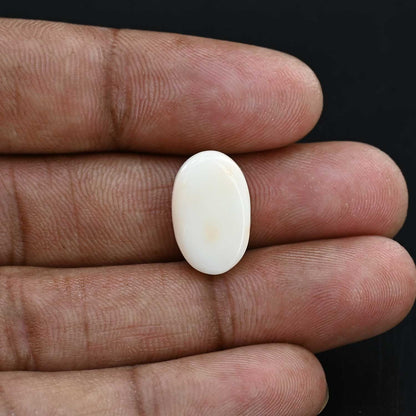 Japani White Coral 12.24 Carat