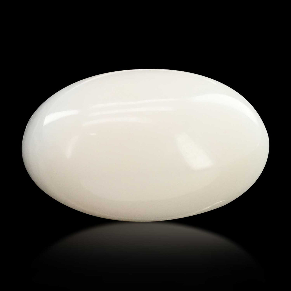 Japani White Coral 14.04 Carat