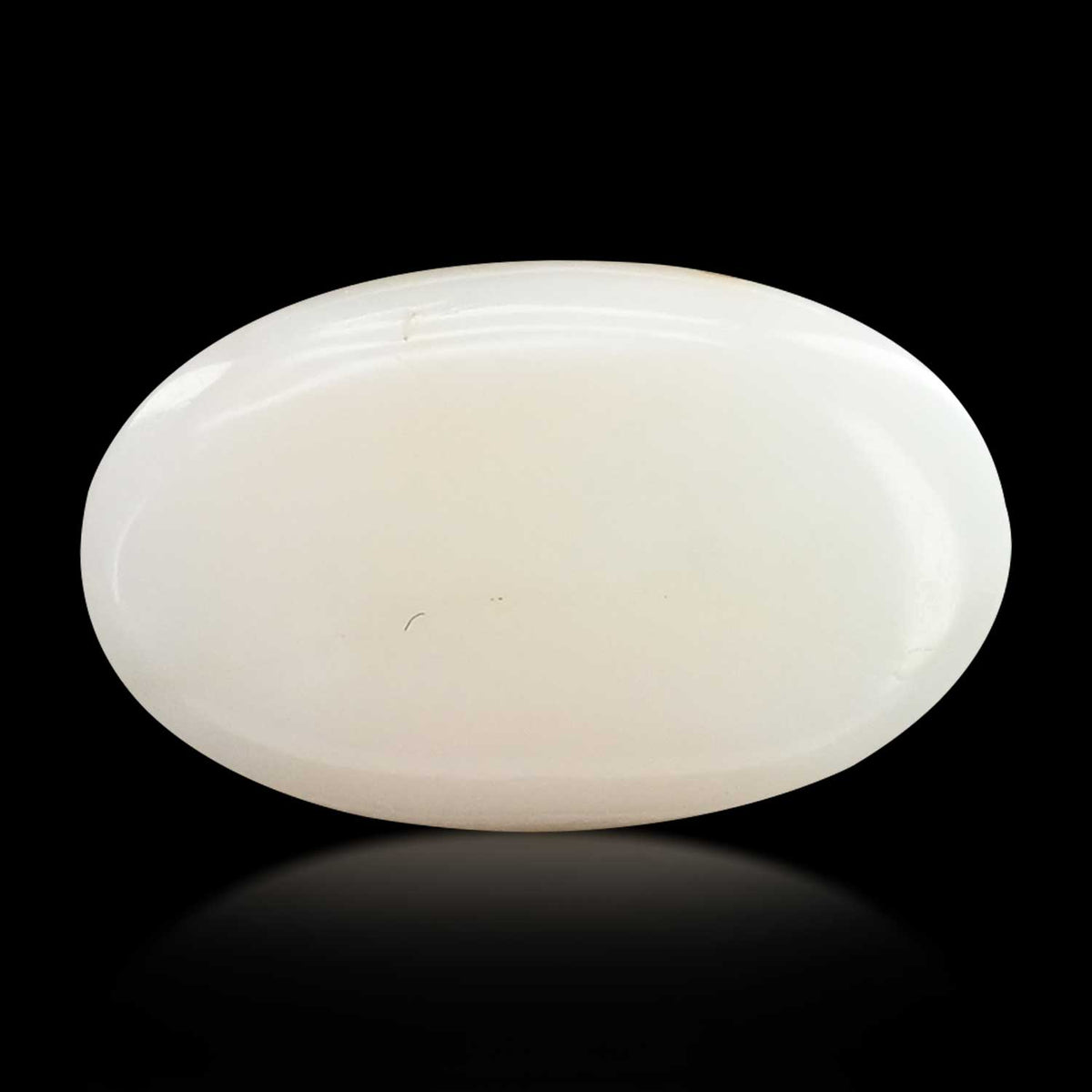 Japani White Coral 14.04 Carat