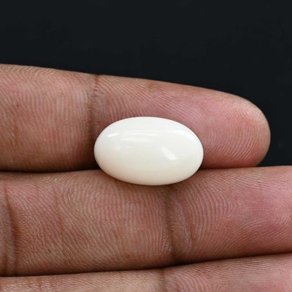 Japani White Coral 14.04 Carat