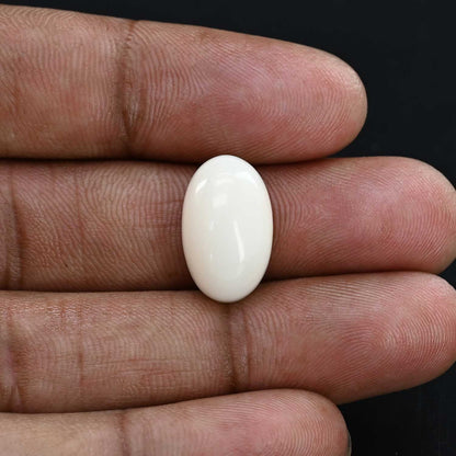 Japani White Coral 14.04 Carat