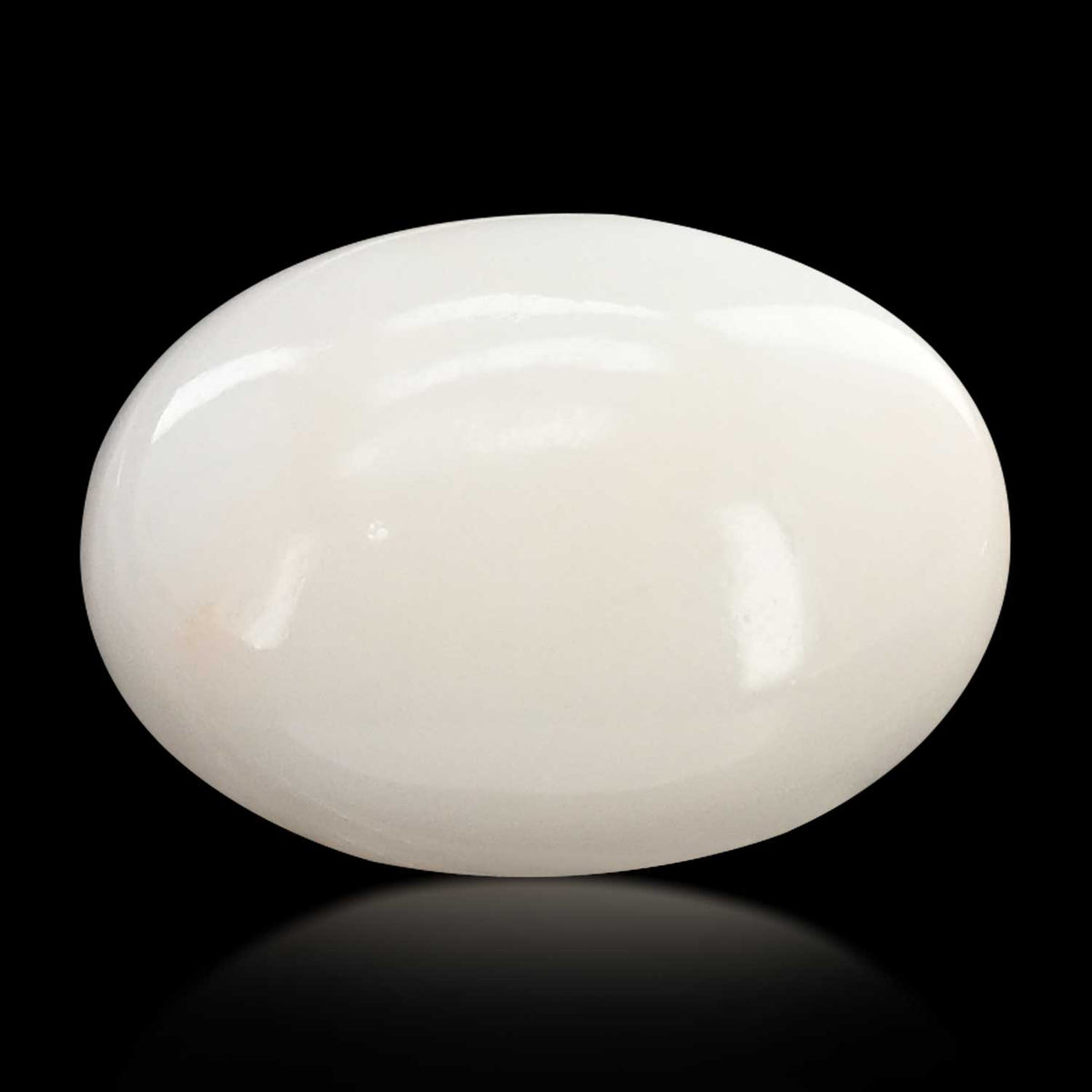 Japani White Coral 8.08 Carat
