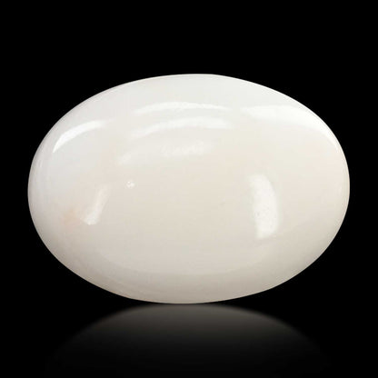 Japani White Coral 8.08 Carat