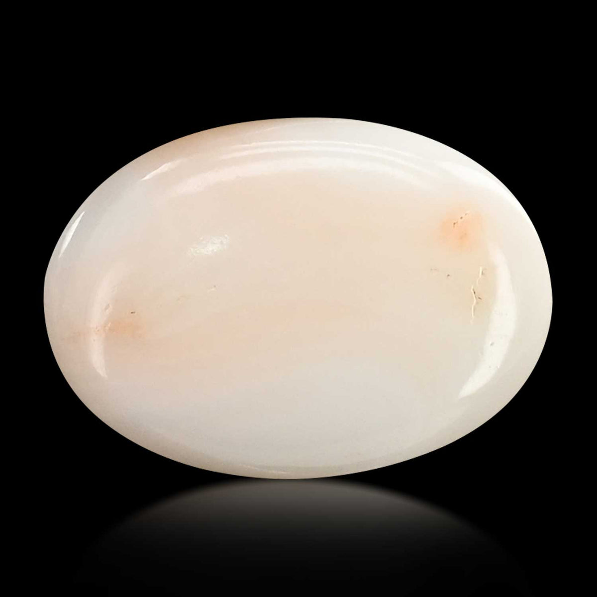 Japani White Coral 8.08 Carat